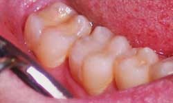 Musso Family Dentistry Musso Family Dentistry