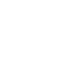 Icon Icon