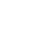 Icon Icon